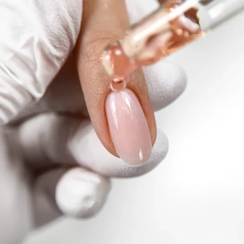 APRICOT_1 Sausas aliejus APRICOT