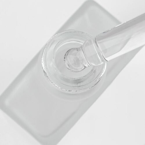 jojoba2 SAUSAS ALIEJUS, JOJOBA